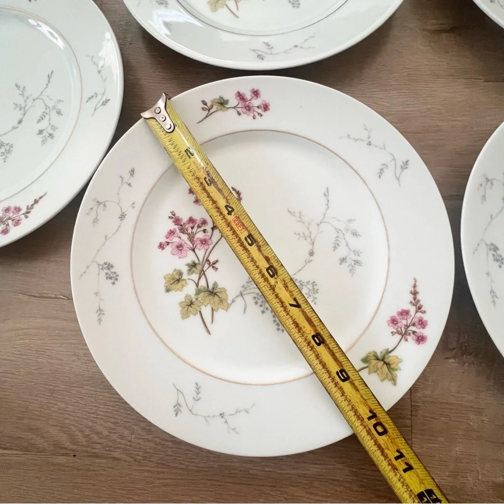 5 PCs Charles Field Haviland Limoges Spring Blossom Dinner Plates 10